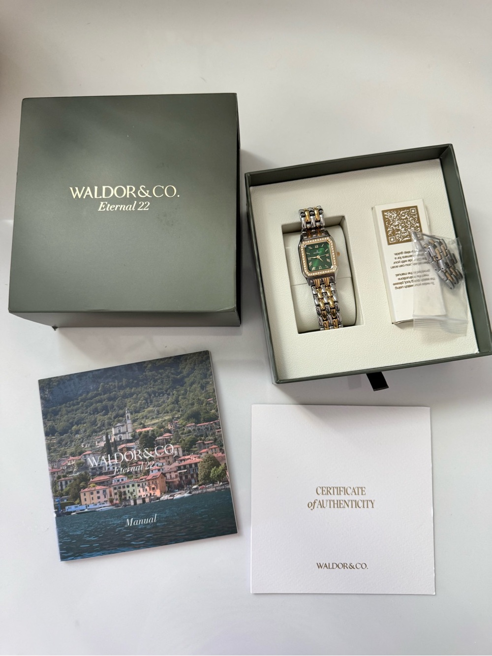 Waldor & Co Eternal 22 Bellagio Pave Watch